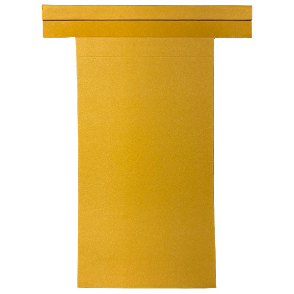 Sample Envelopes with Tin-Tie Closure 3