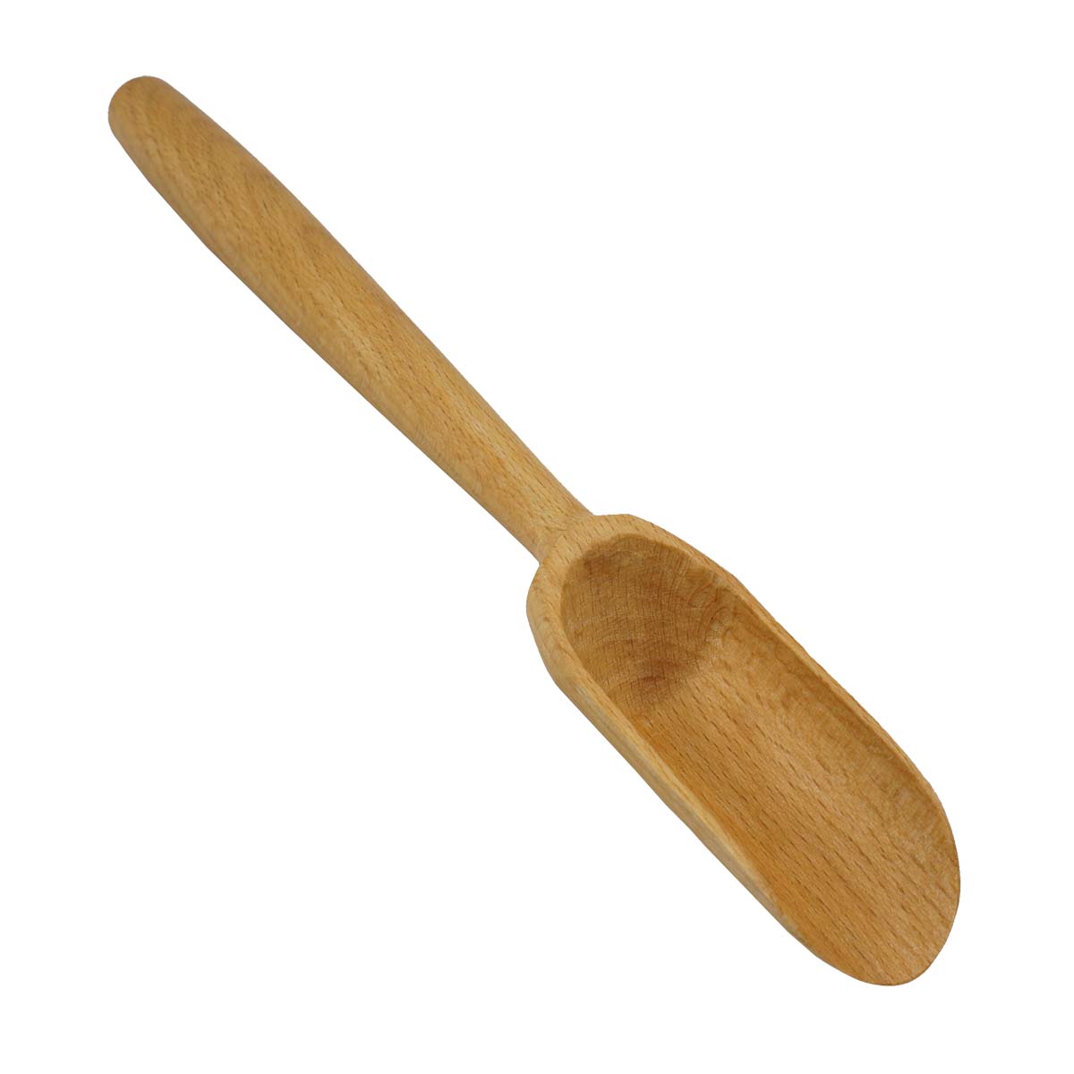 Large Scoop ASC Scientific Large Scoop ASC Scientific